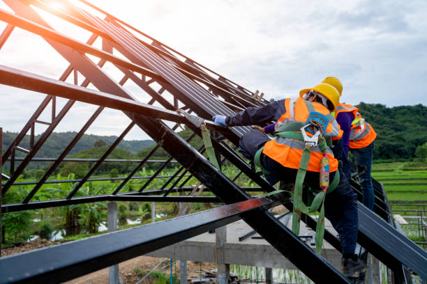 Best Storm Damage Roof Repair  in Clyde, NC
