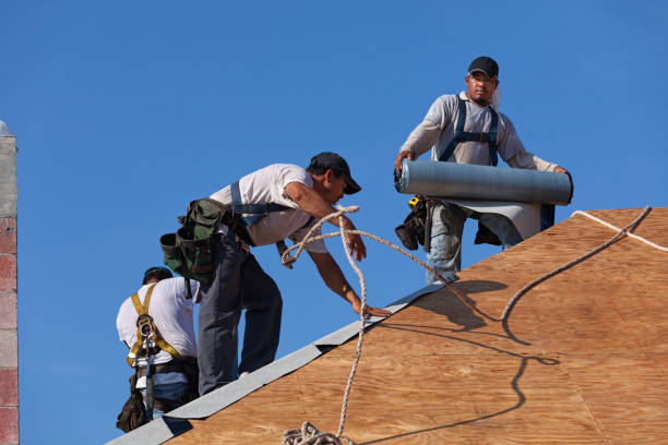 Best Flat Roof Repair Services  in Clyde, NC
