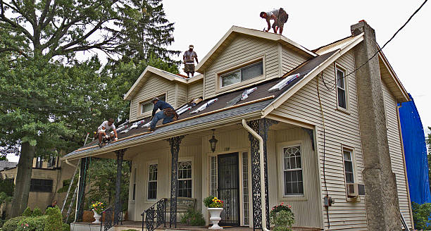 Best Storm Damage Roof Repair  in Clyde, NC